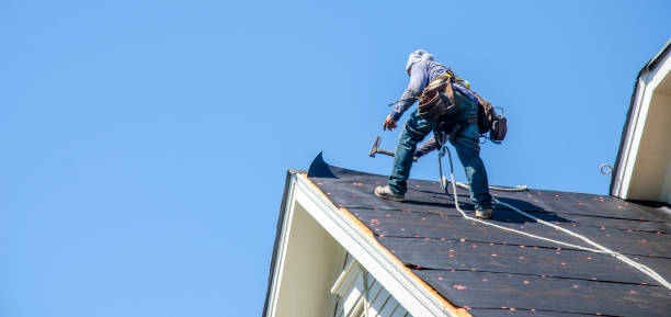 Best Roof Maintenance Services  in St Georges, DE